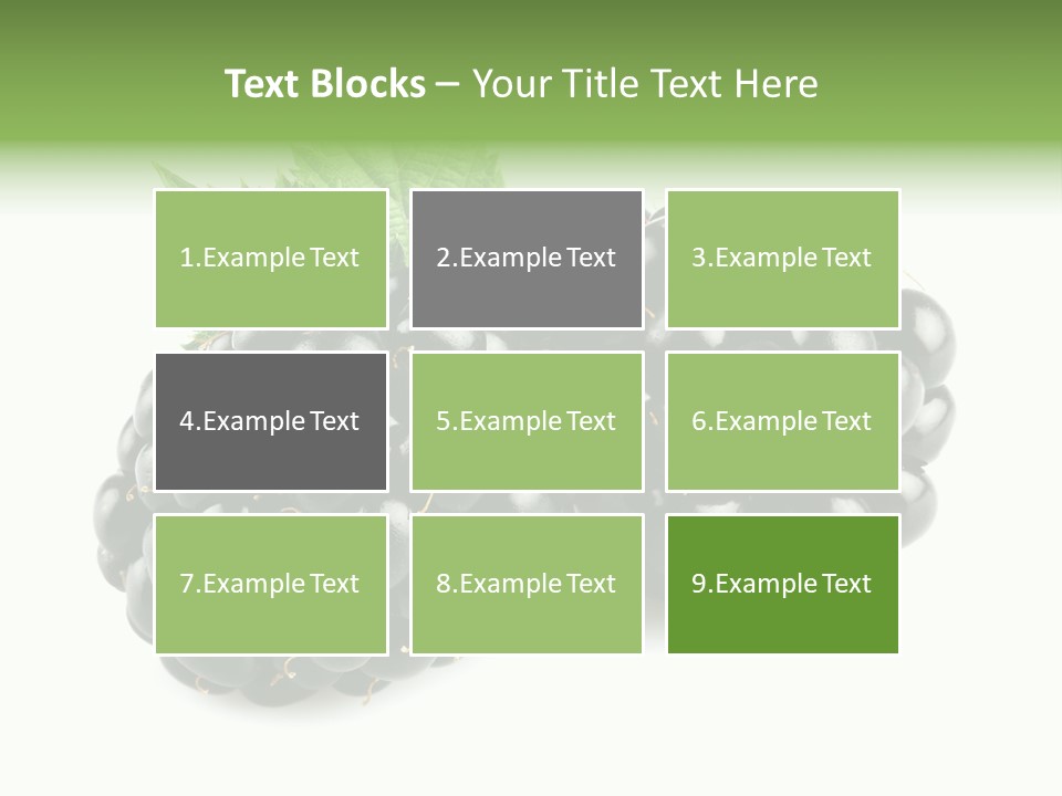 White Fresh Black PowerPoint Template