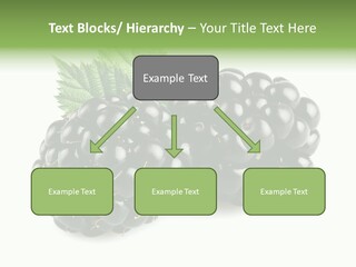 White Fresh Black PowerPoint Template