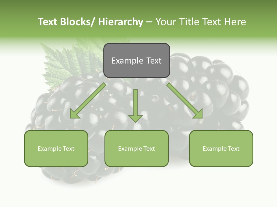 White Fresh Black PowerPoint Template