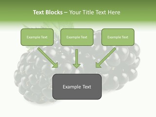 White Fresh Black PowerPoint Template