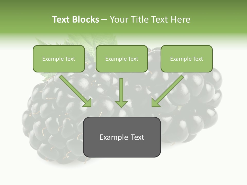 White Fresh Black PowerPoint Template