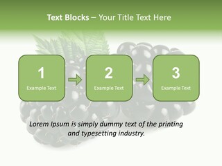 White Fresh Black PowerPoint Template