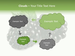 White Fresh Black PowerPoint Template