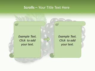 White Fresh Black PowerPoint Template