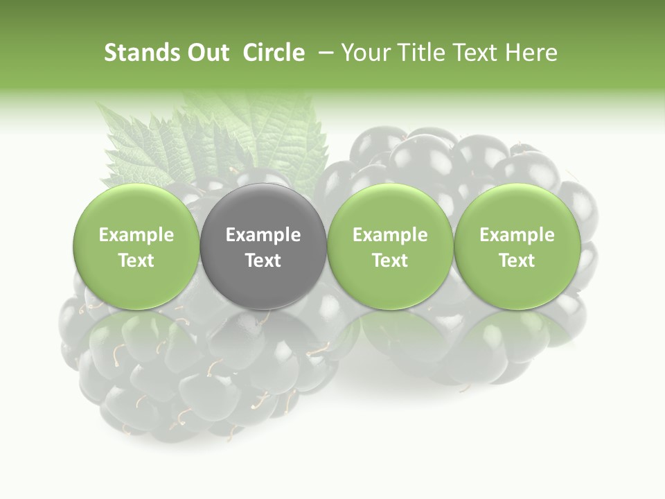 White Fresh Black PowerPoint Template