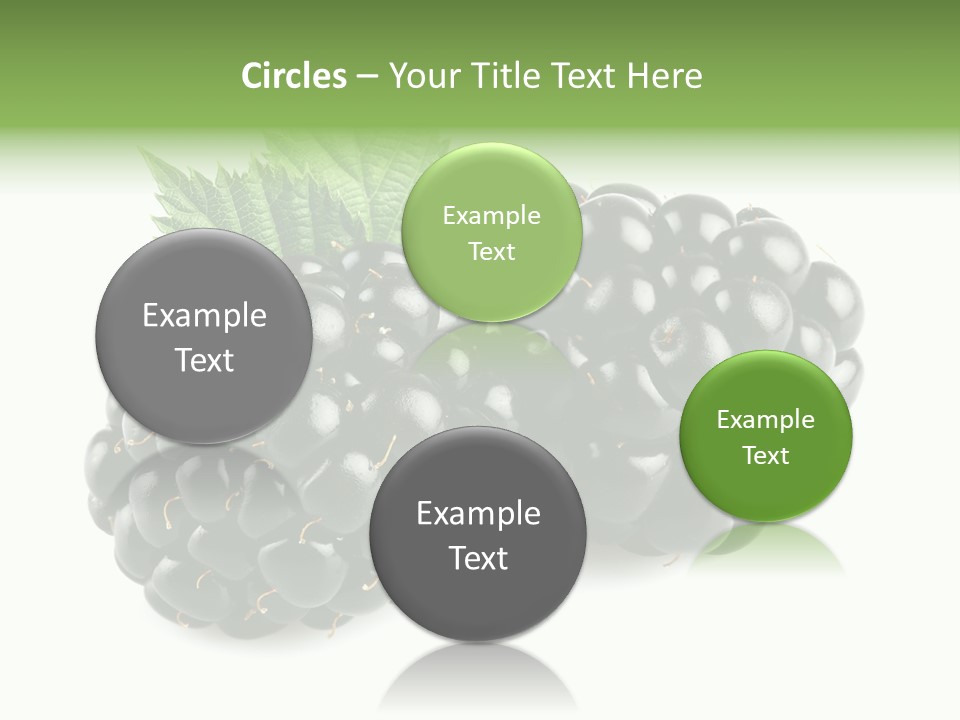 White Fresh Black PowerPoint Template