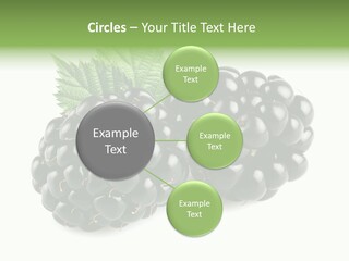 White Fresh Black PowerPoint Template