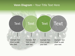 White Fresh Black PowerPoint Template