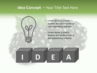 White Fresh Black PowerPoint Template