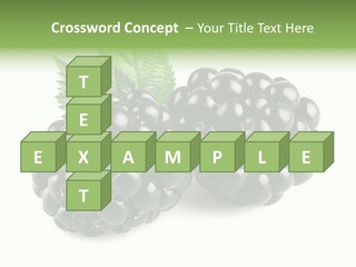 White Fresh Black PowerPoint Template