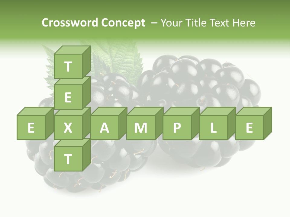 White Fresh Black PowerPoint Template