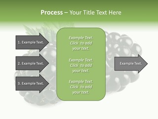White Fresh Black PowerPoint Template