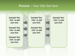 White Fresh Black PowerPoint Template