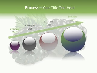 White Fresh Black PowerPoint Template