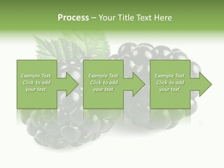 White Fresh Black PowerPoint Template