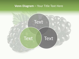 White Fresh Black PowerPoint Template