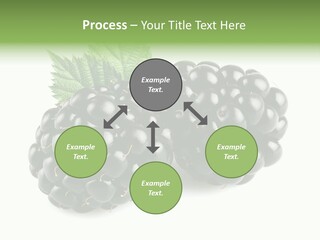 White Fresh Black PowerPoint Template