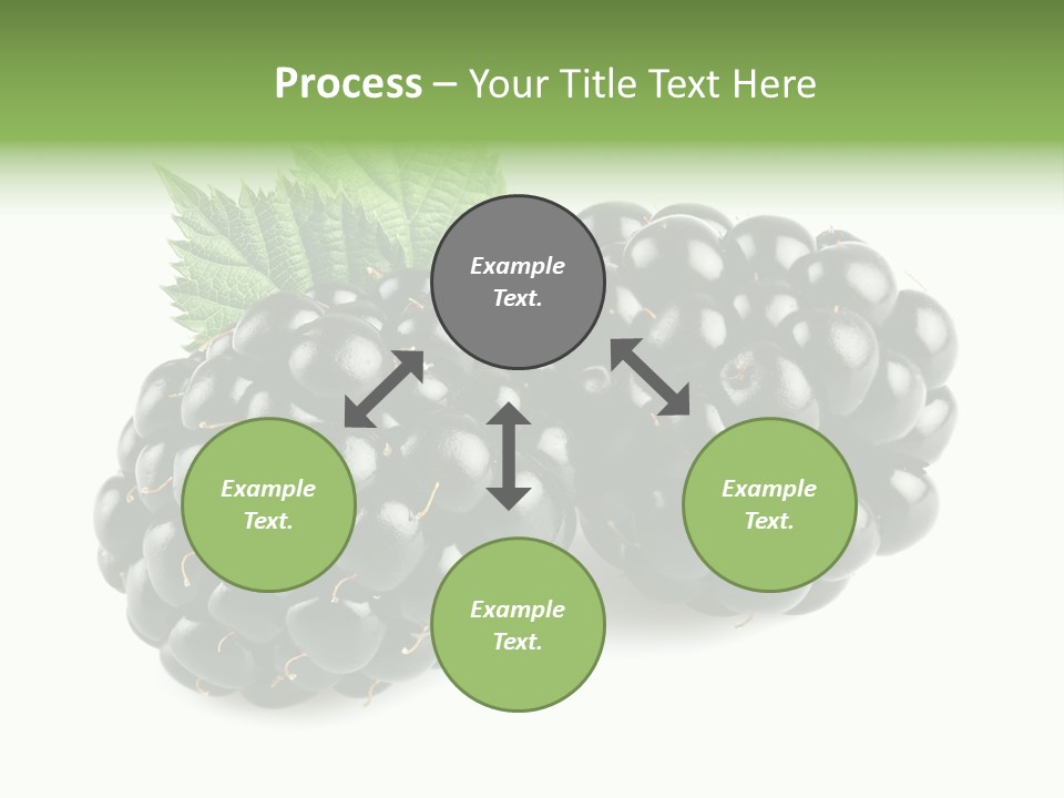 White Fresh Black PowerPoint Template