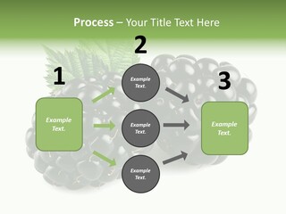 White Fresh Black PowerPoint Template