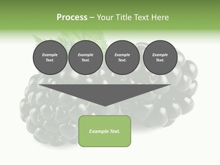 White Fresh Black PowerPoint Template