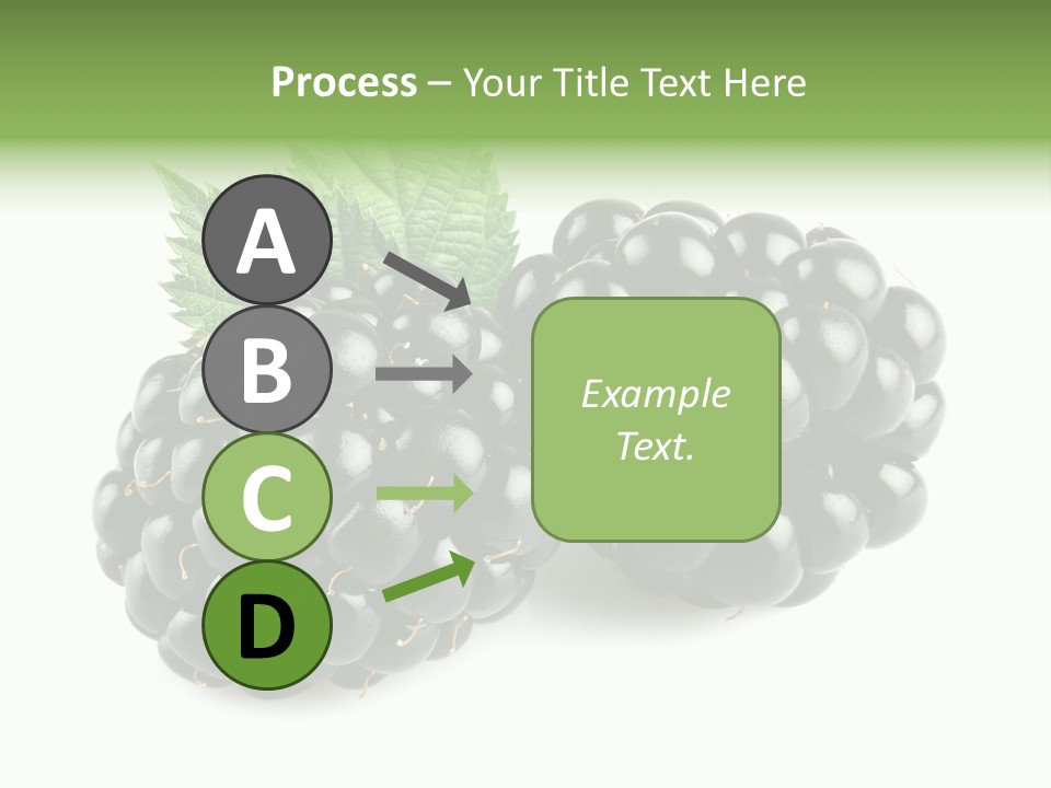 White Fresh Black PowerPoint Template