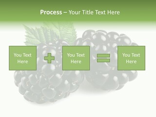 White Fresh Black PowerPoint Template