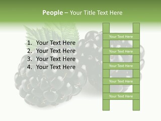 White Fresh Black PowerPoint Template