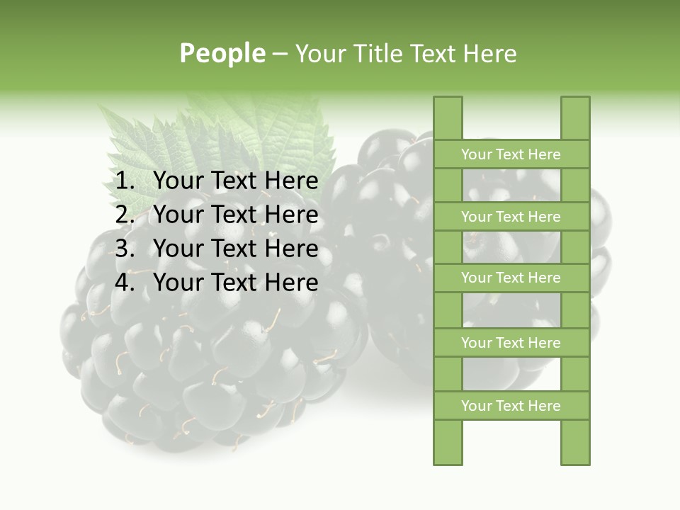 White Fresh Black PowerPoint Template