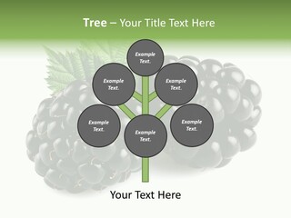 White Fresh Black PowerPoint Template