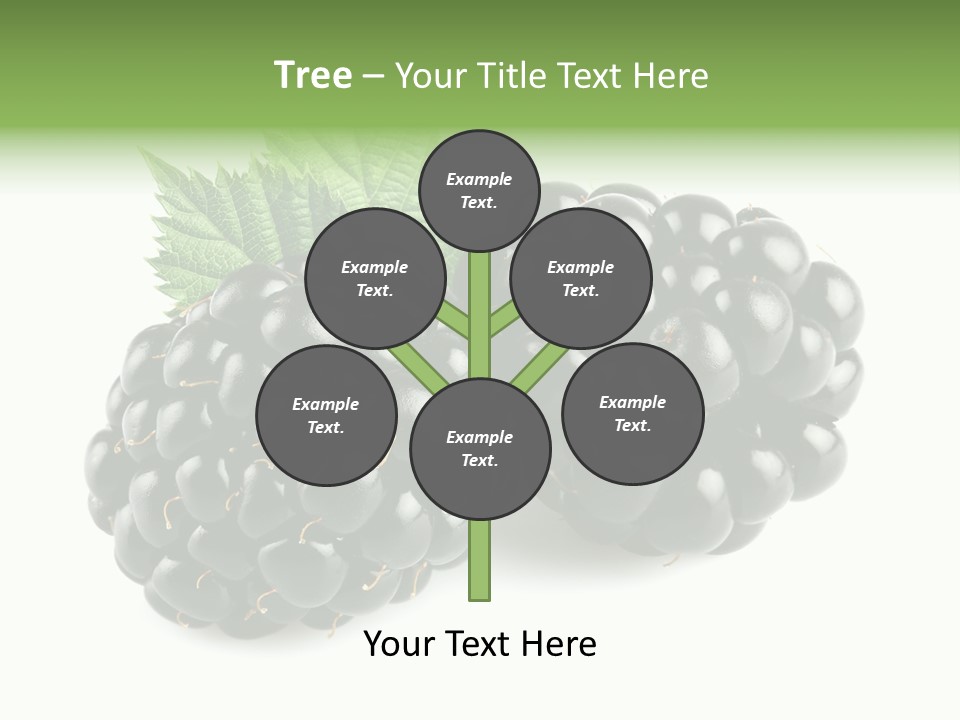 White Fresh Black PowerPoint Template