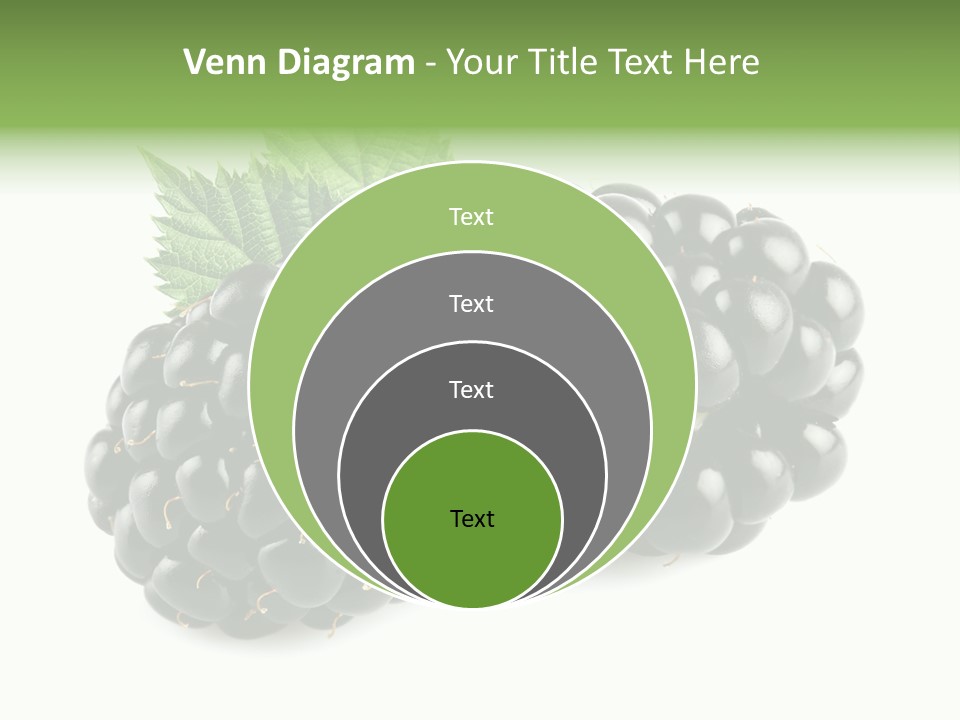 White Fresh Black PowerPoint Template