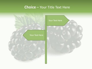 White Fresh Black PowerPoint Template