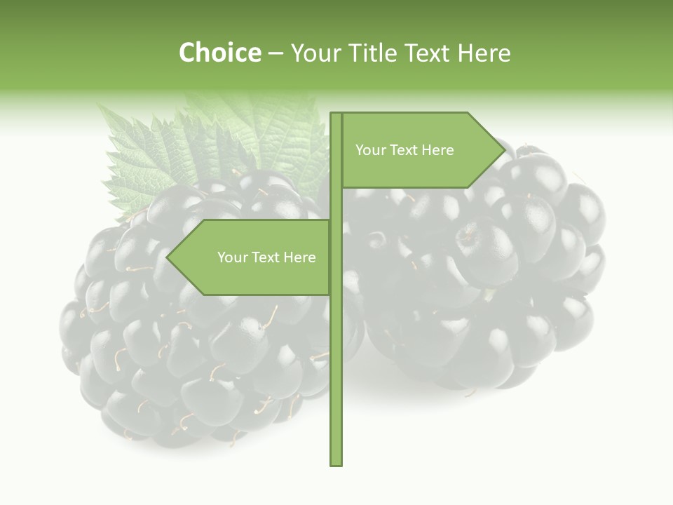 White Fresh Black PowerPoint Template