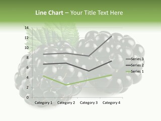 White Fresh Black PowerPoint Template