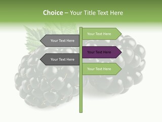 White Fresh Black PowerPoint Template