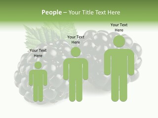 White Fresh Black PowerPoint Template