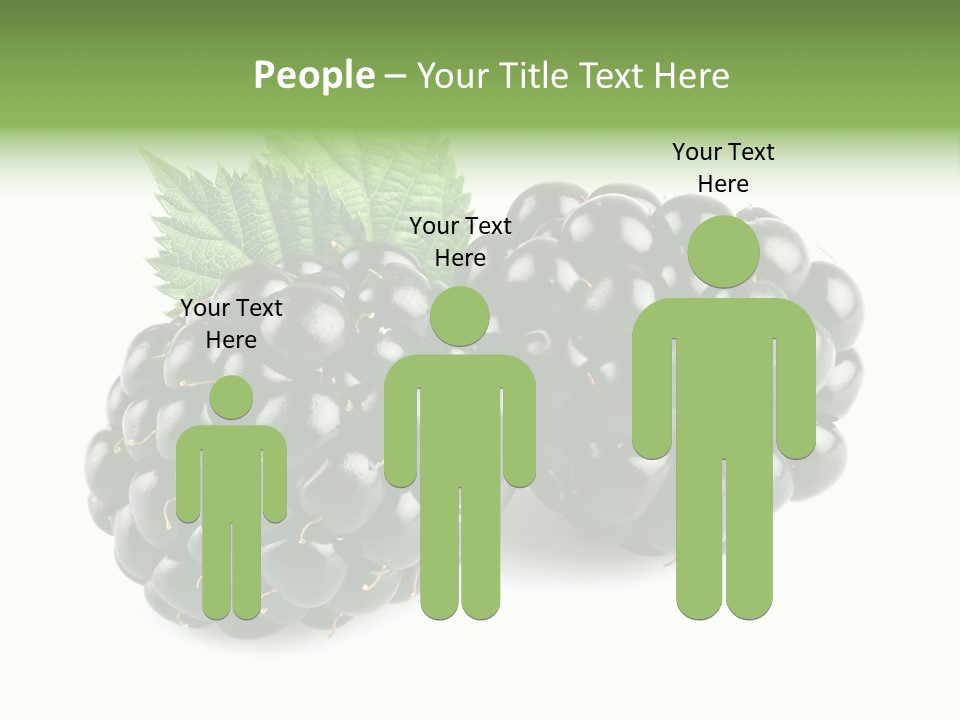 White Fresh Black PowerPoint Template