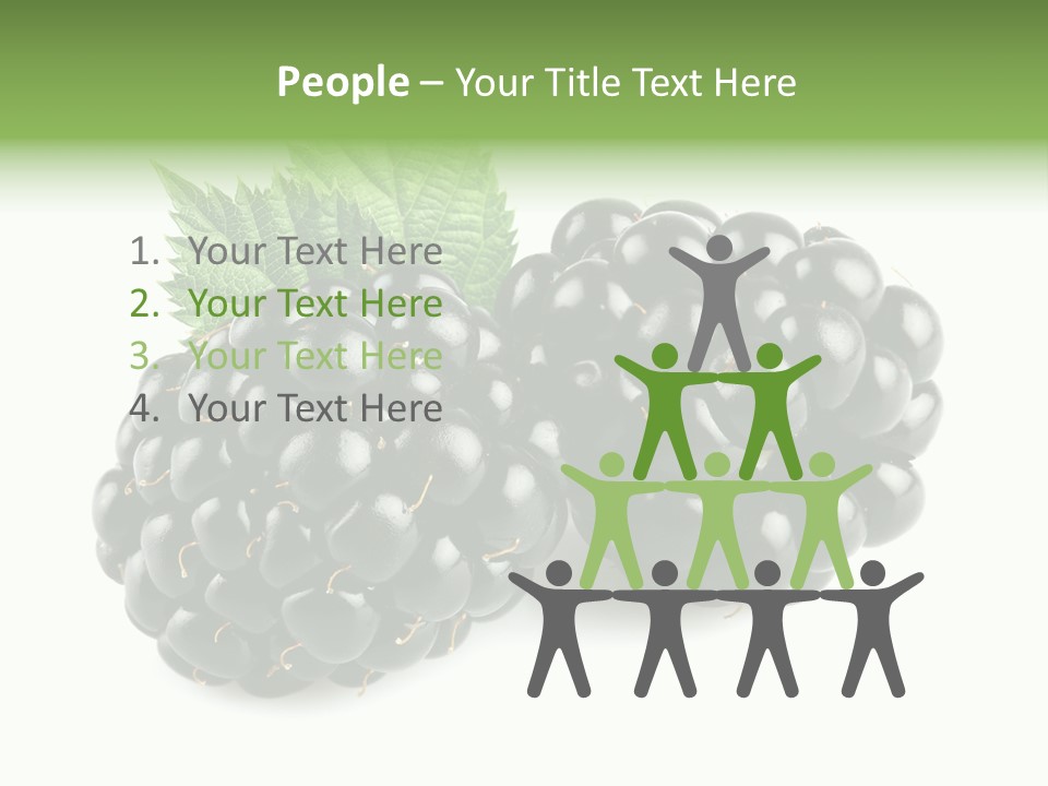 White Fresh Black PowerPoint Template