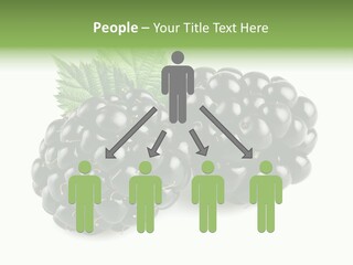 White Fresh Black PowerPoint Template