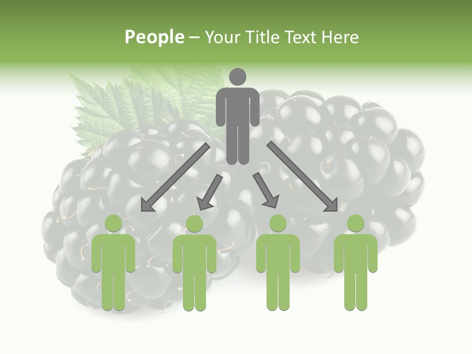 White Fresh Black PowerPoint Template