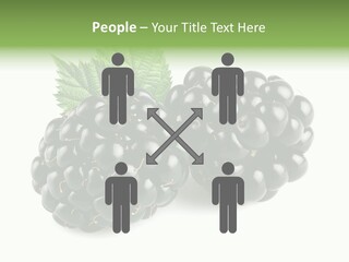 White Fresh Black PowerPoint Template