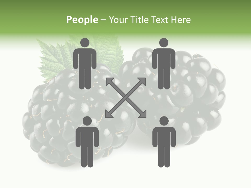 White Fresh Black PowerPoint Template