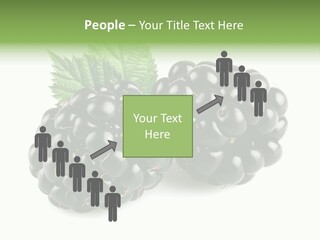 White Fresh Black PowerPoint Template