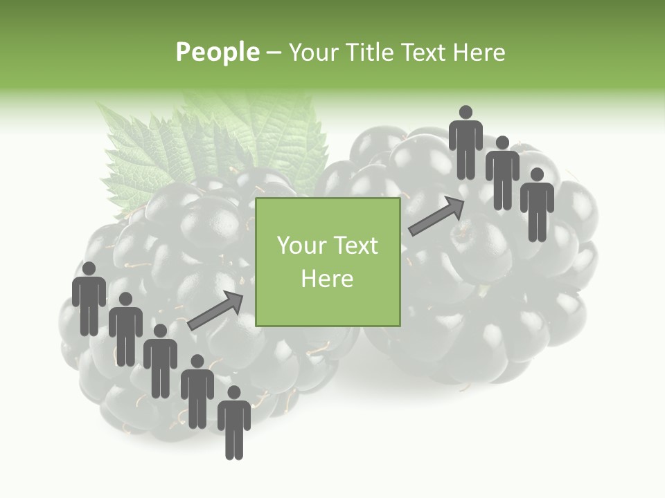 White Fresh Black PowerPoint Template