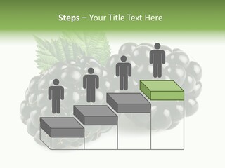 White Fresh Black PowerPoint Template
