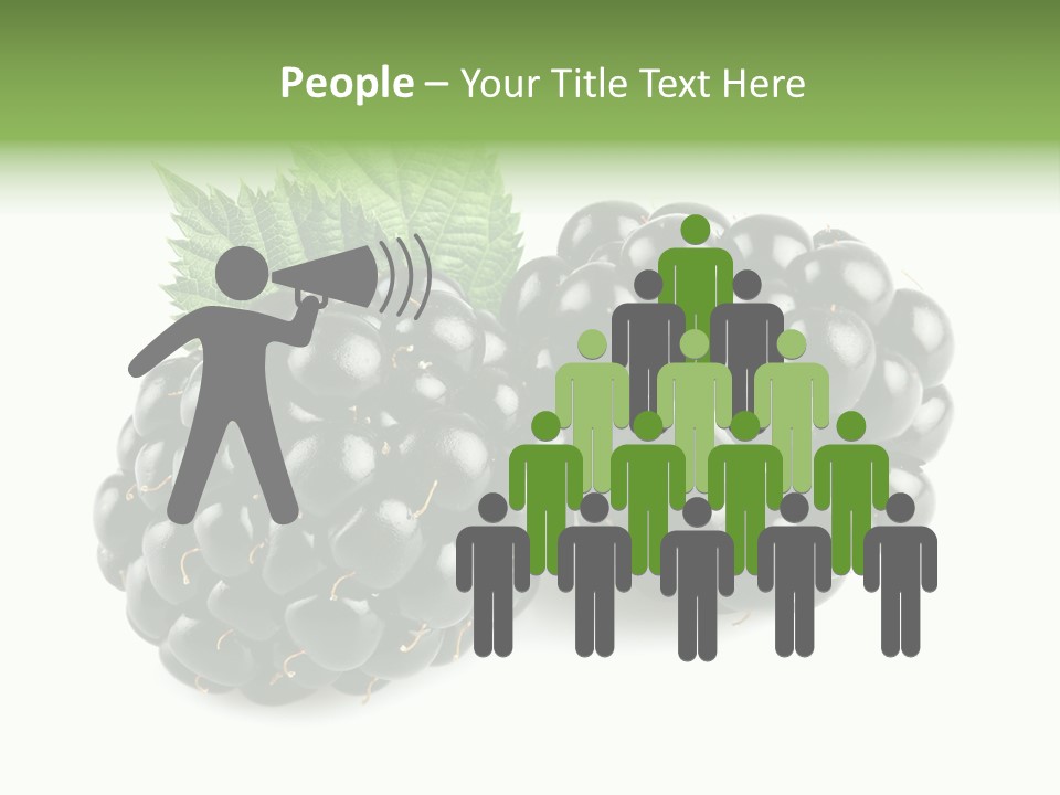 White Fresh Black PowerPoint Template