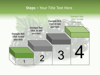 White Fresh Black PowerPoint Template