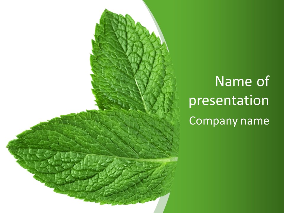 Green Mentha Food PowerPoint Template
