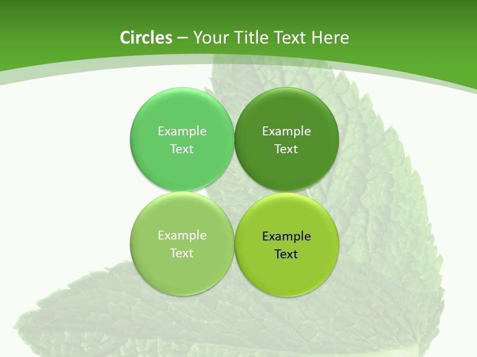 Green Mentha Food PowerPoint Template