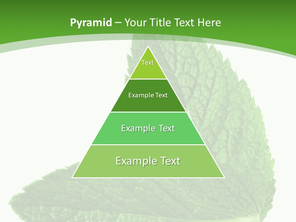 Green Mentha Food PowerPoint Template